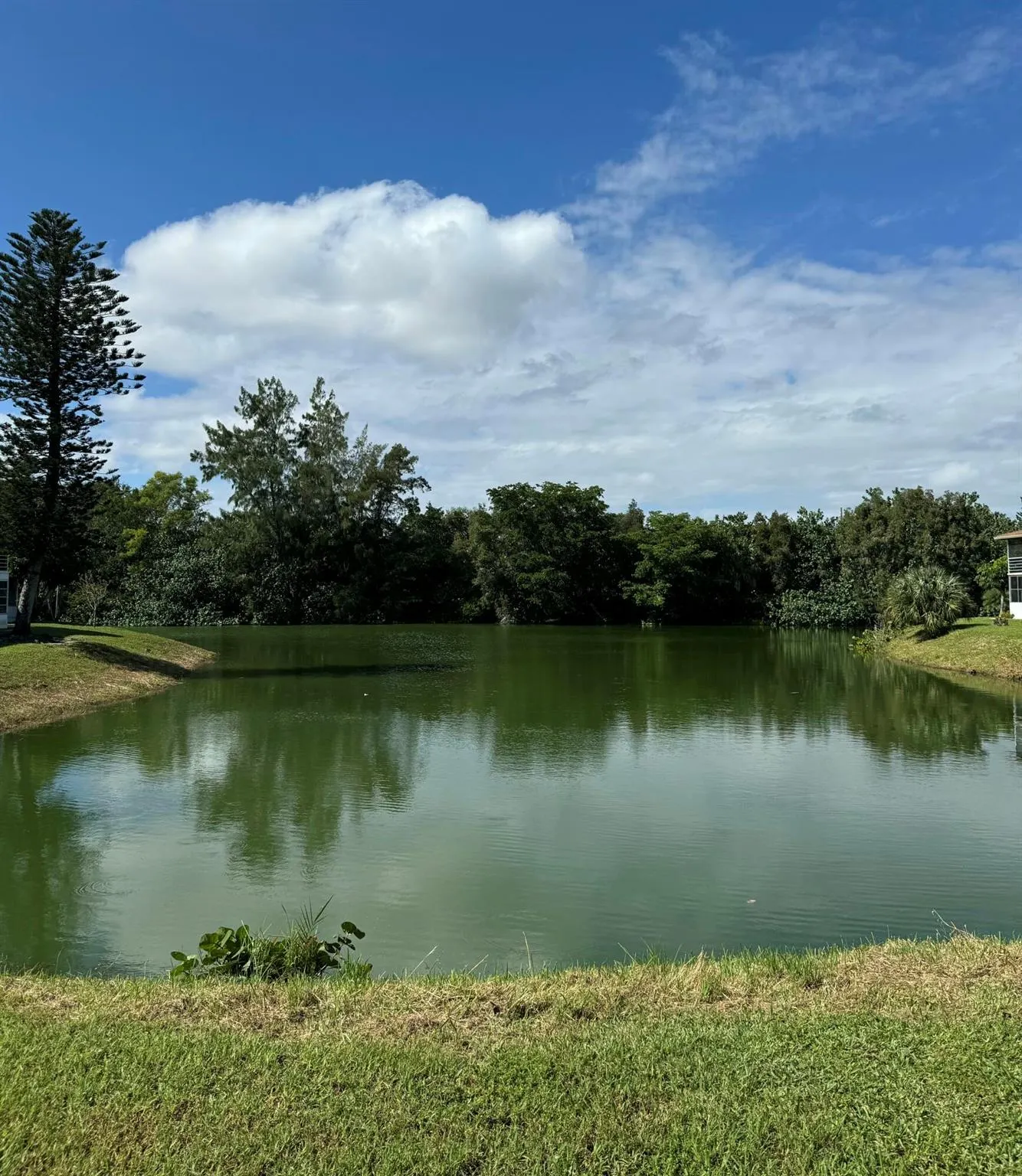 148 Northampton H, #148