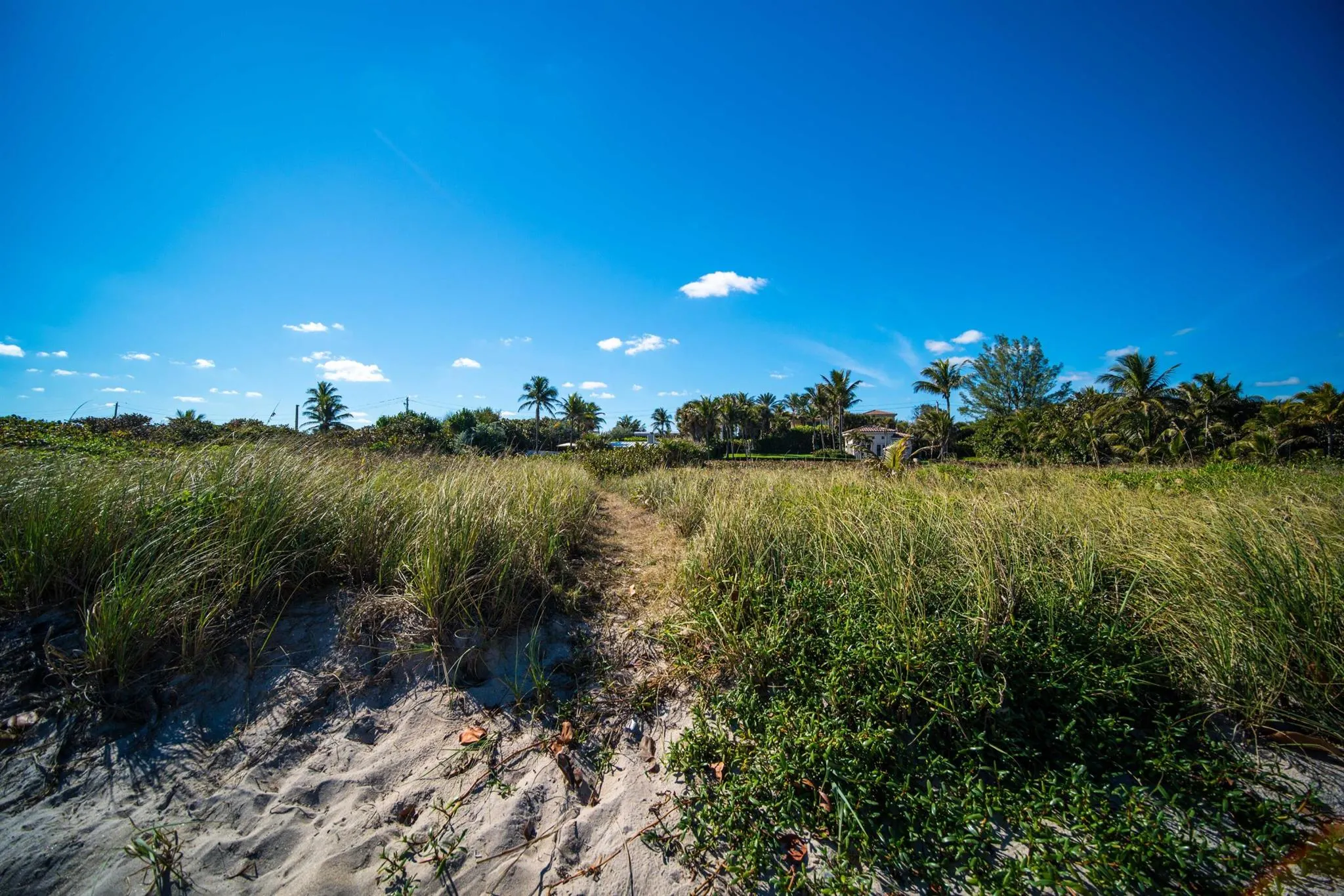 4000 S Ocean Boulevard