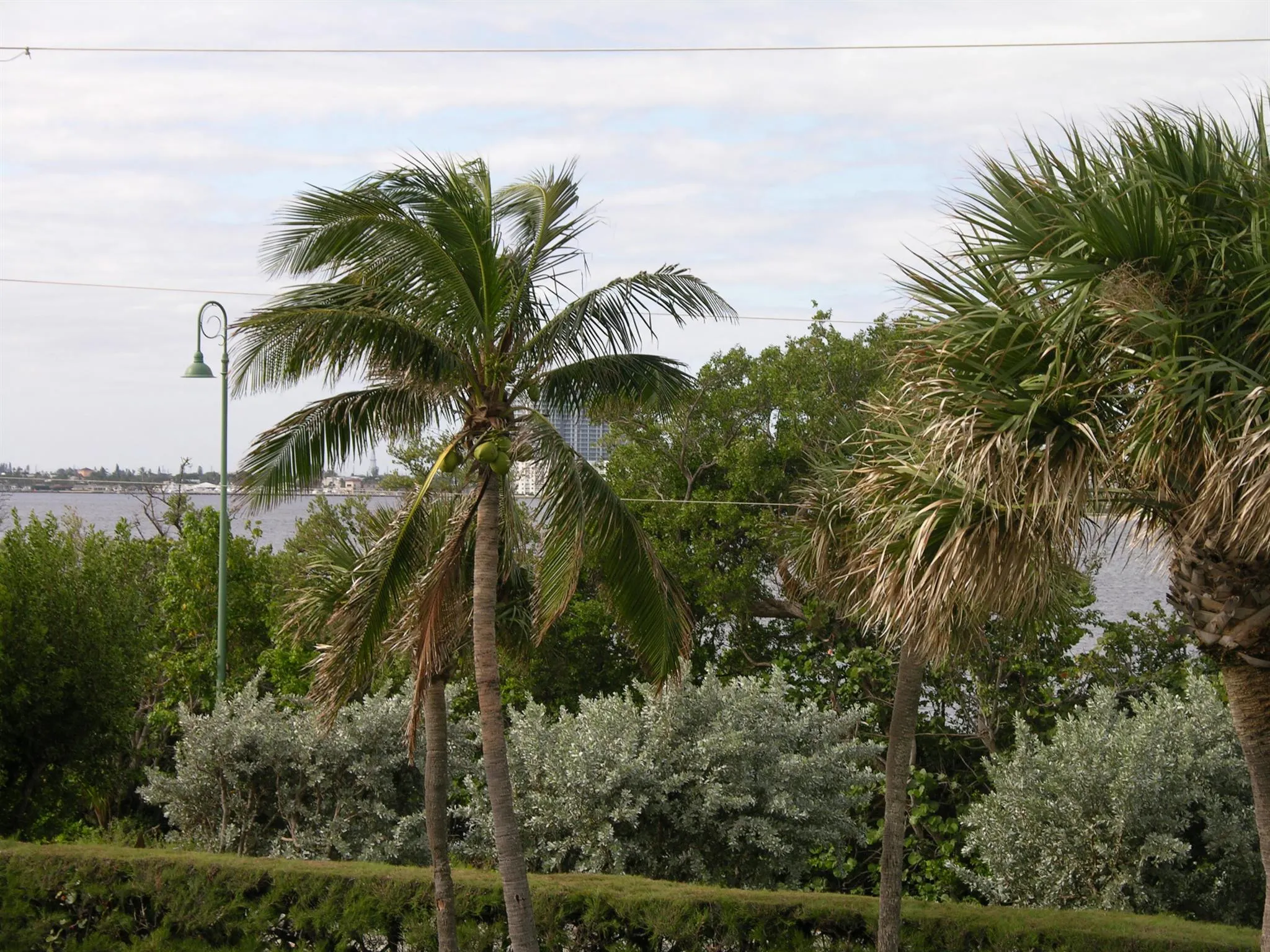 5550 N Ocean Drive, #2b