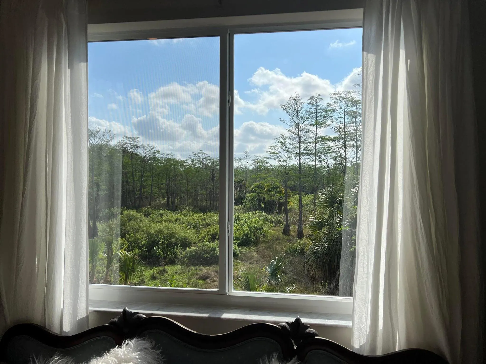 2122 Sabal Tree Court