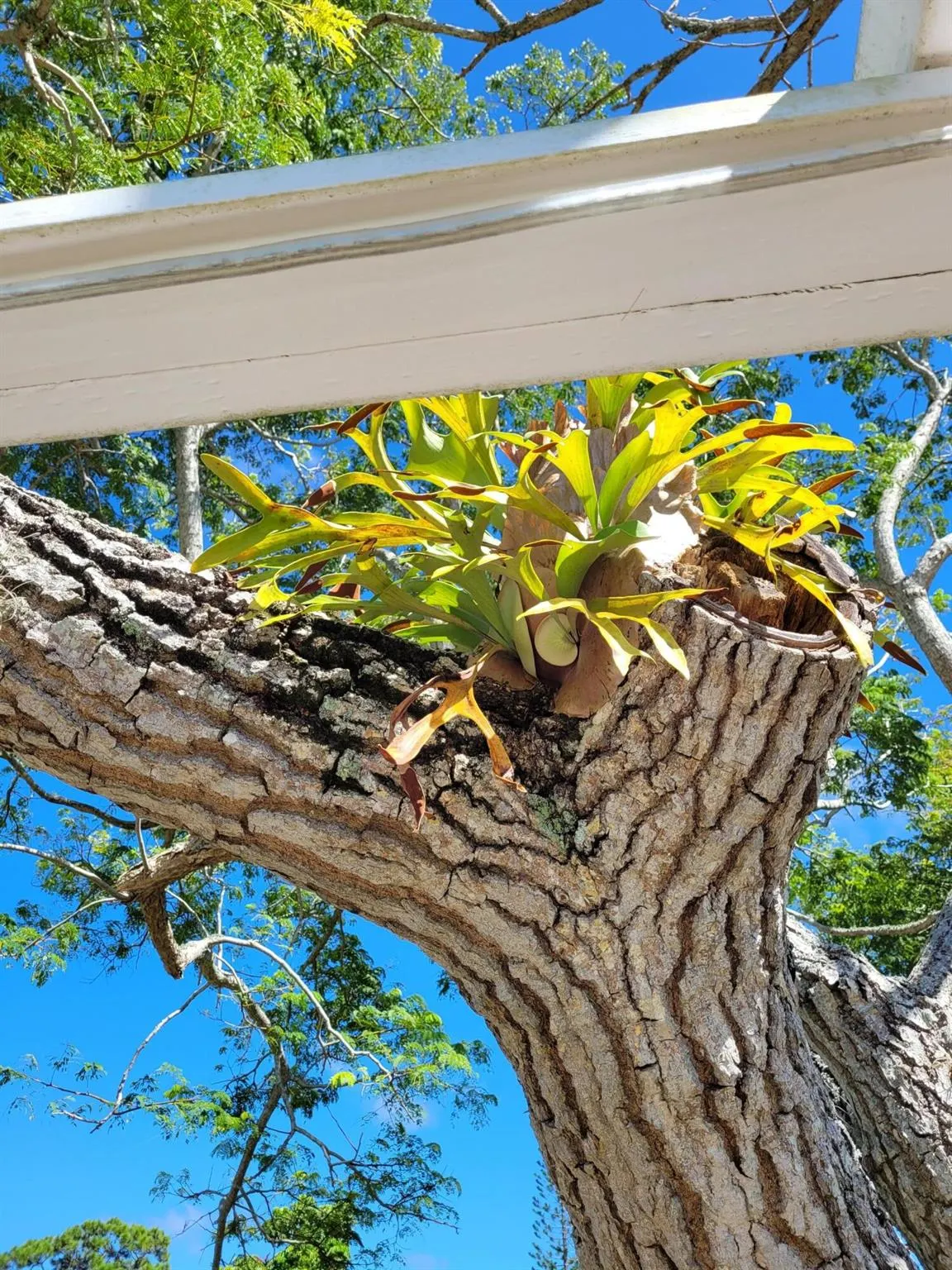 2950 SE Ocean Boulevard, #134-5