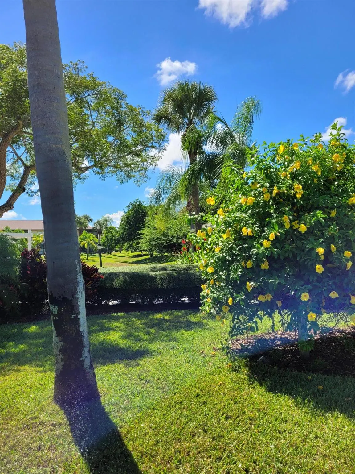 2950 SE Ocean Boulevard, #134-5