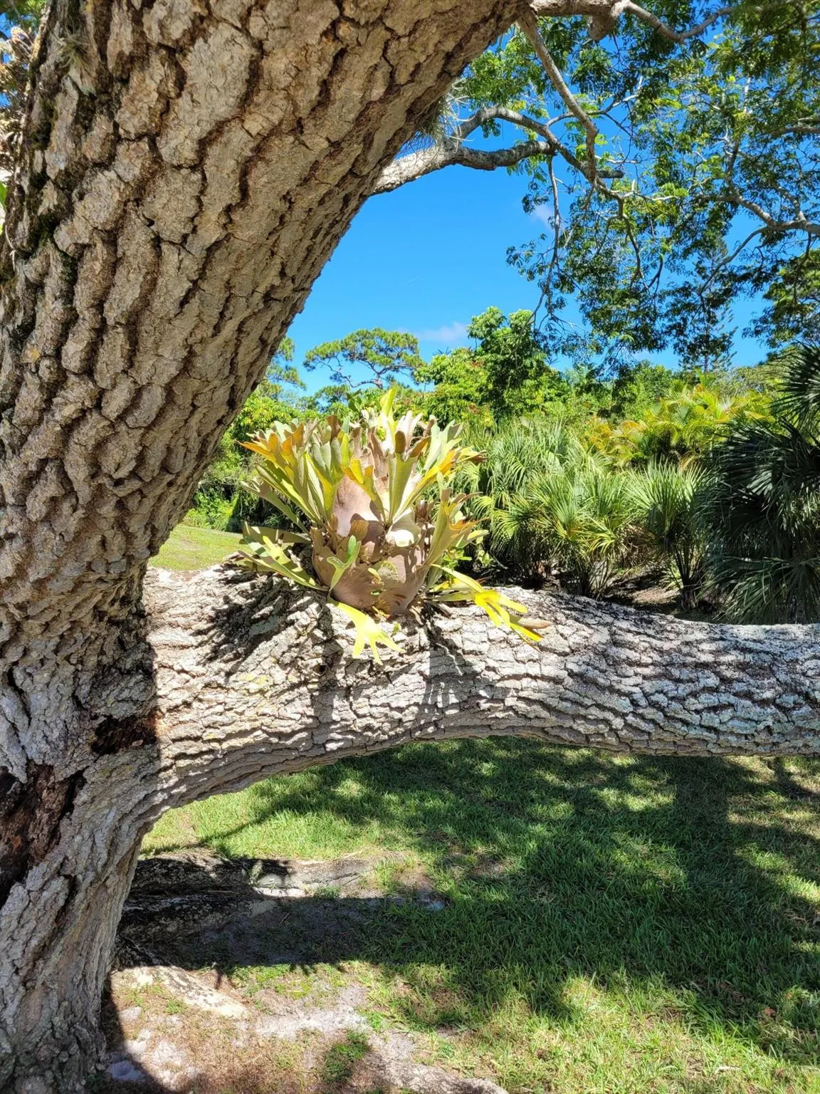 2950 SE Ocean Boulevard, #134-5