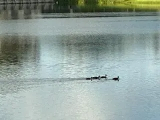 3089 Inglewood Terrace