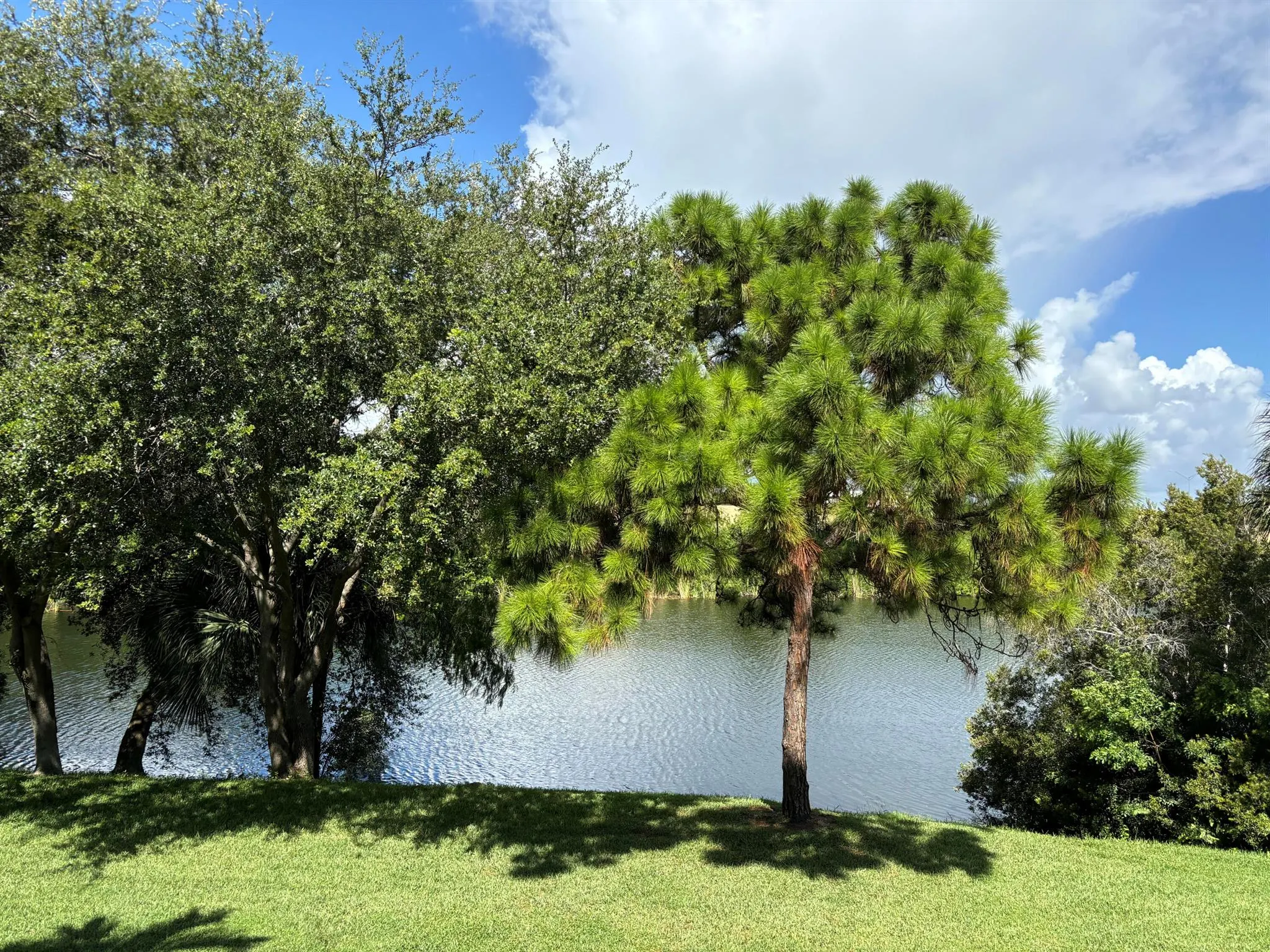 2048 Alta Meadows Lane, #2009