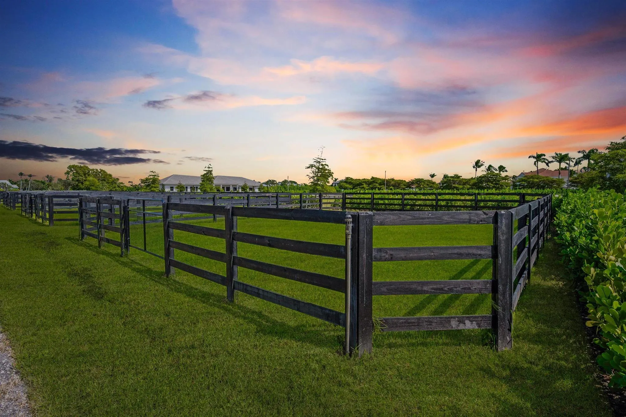 15385 Sunnyland Lane