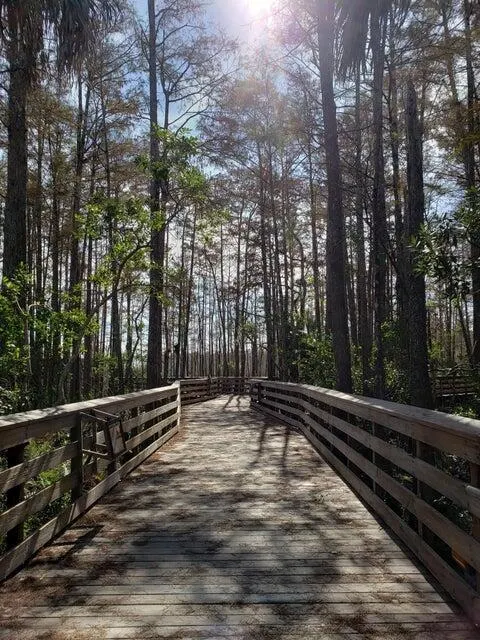 2615 N Garden Drive, #207