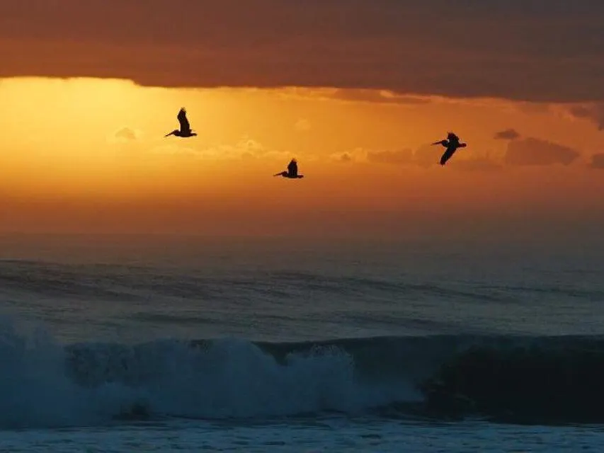 680 Horizons W, #108