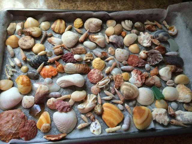 680 Horizons W, #108