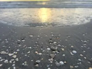 5505 N Ocean Boulevard, #10-103