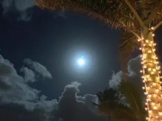 5505 N Ocean Boulevard, #10-103