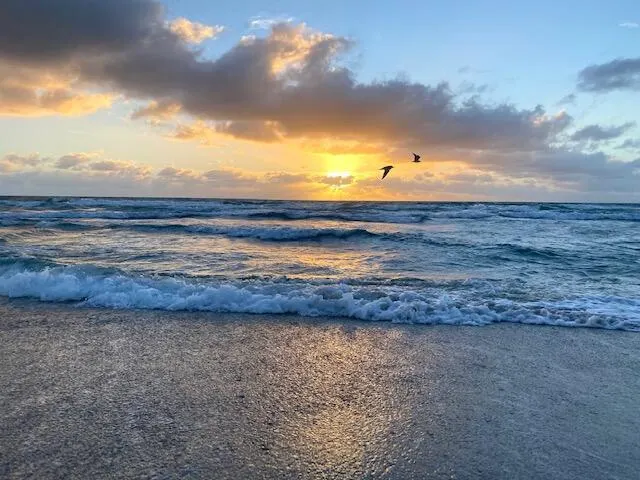 5505 N Ocean Boulevard, #10-103