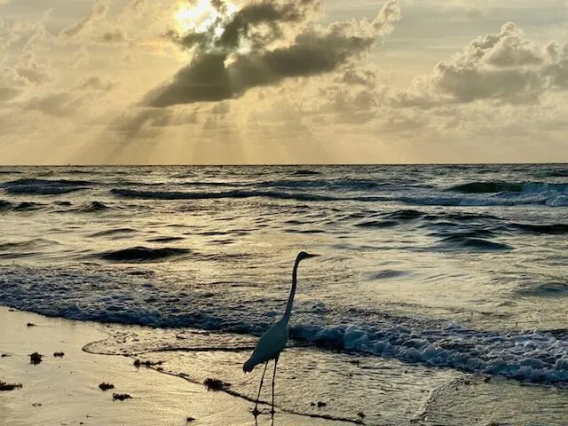 5505 N Ocean Boulevard, #10-103