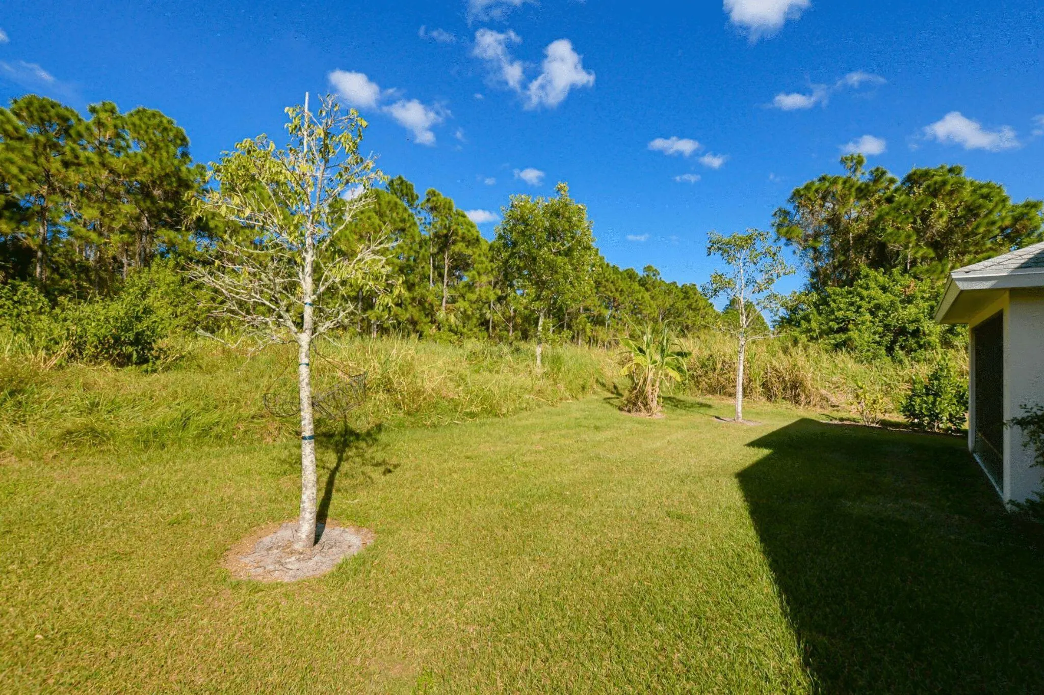 9756 Palm Breezes Drive