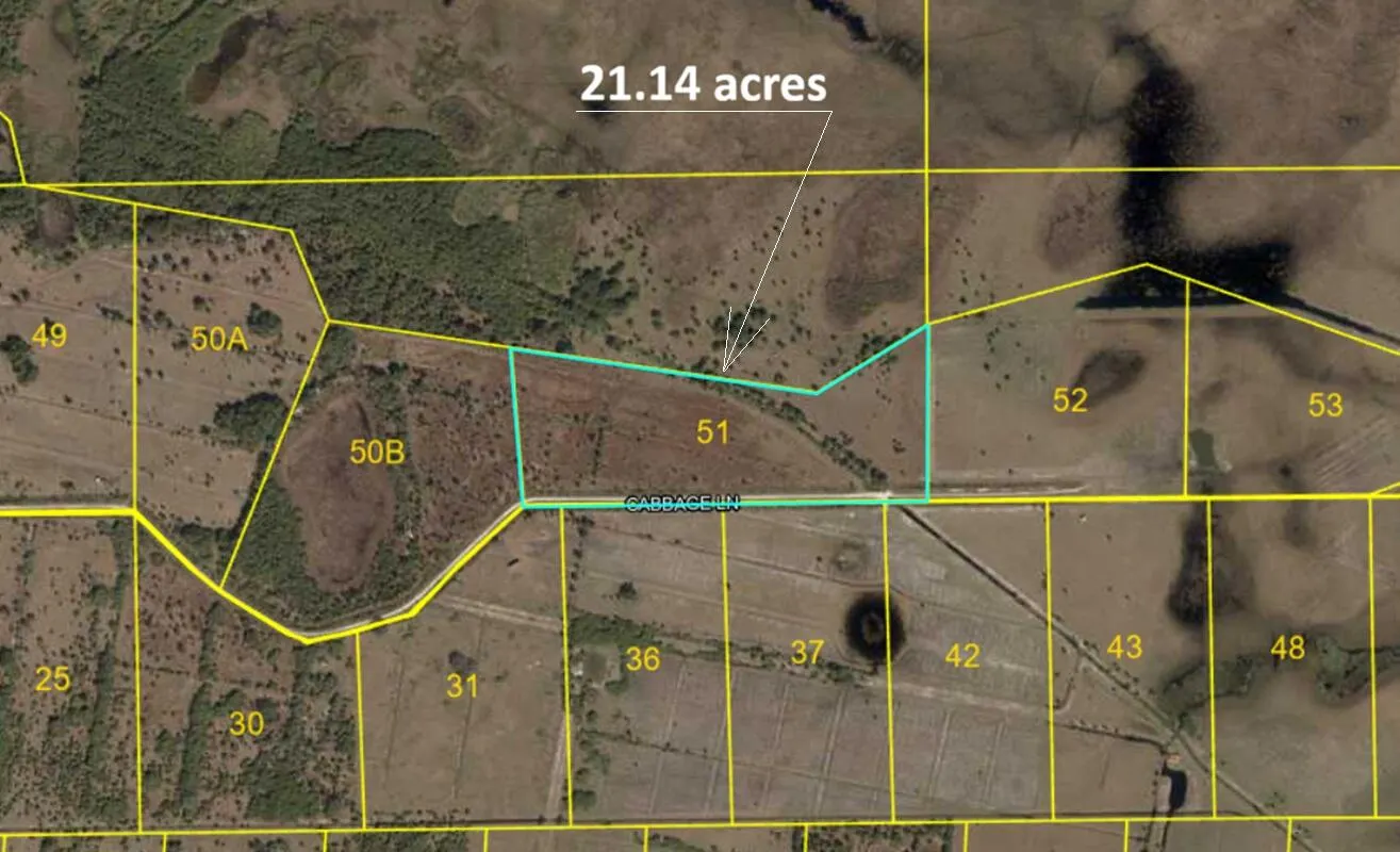 Lot 51 Cabbage Lane