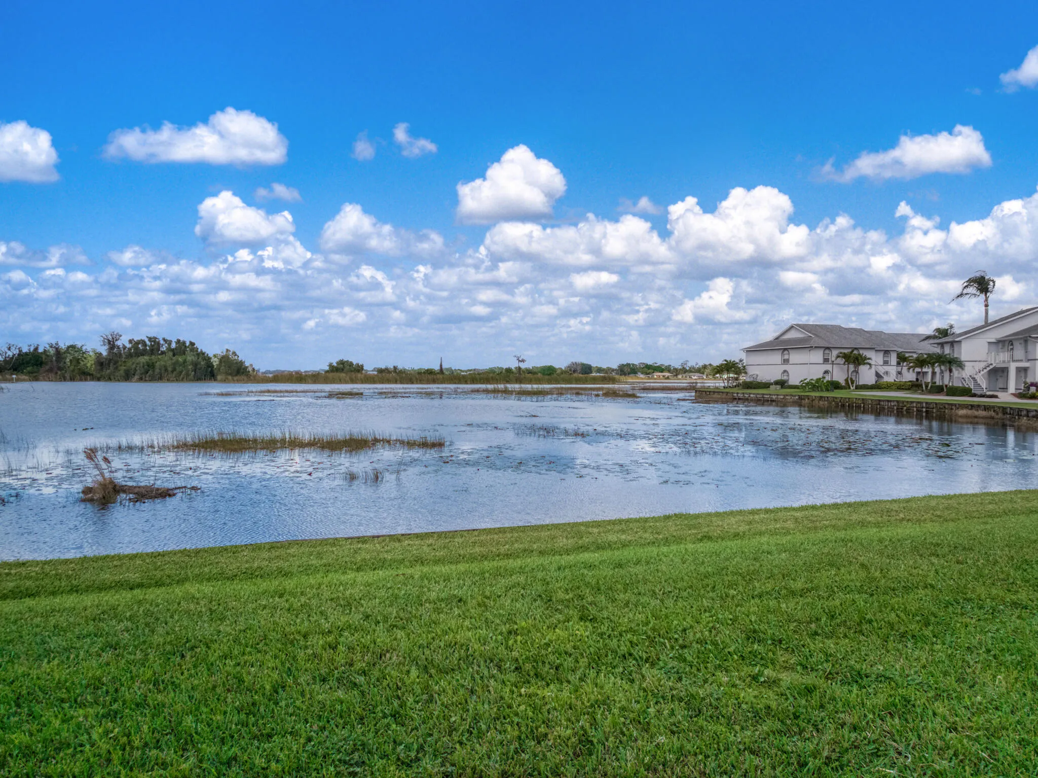 703 Chelsee Way