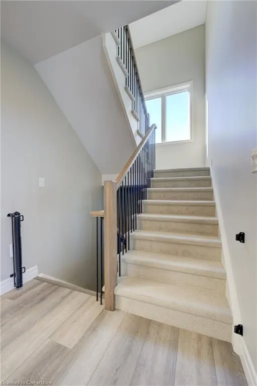 259 Timber Trail Road