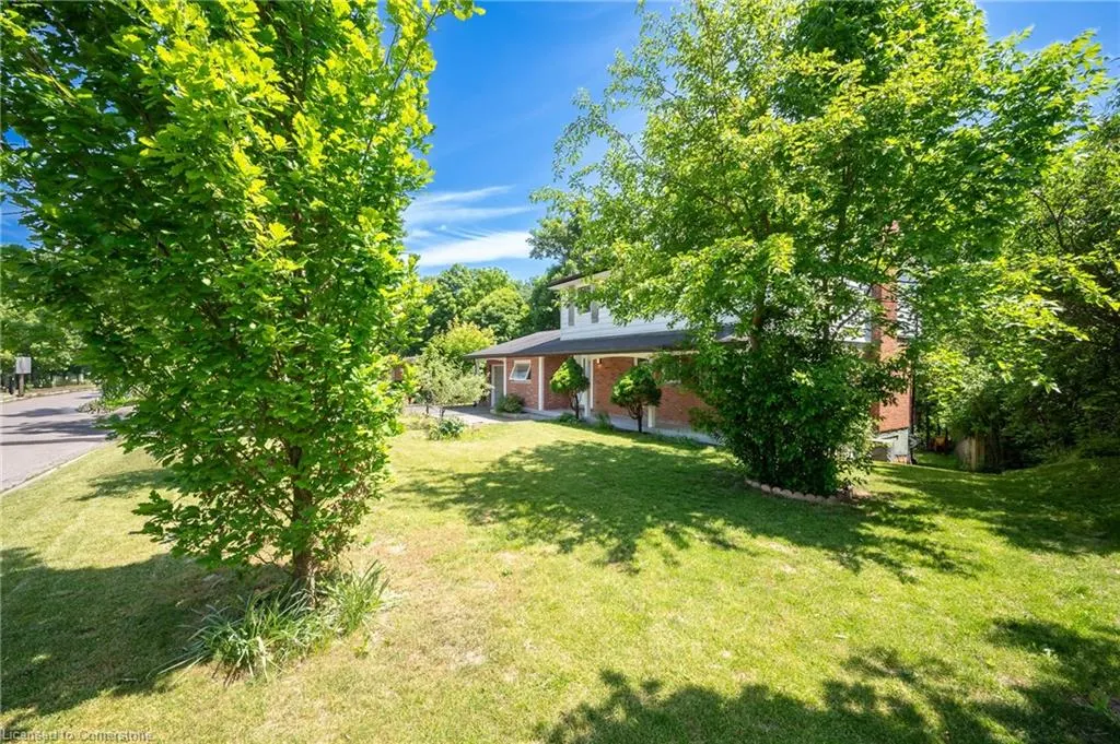 85 Robinhood Drive