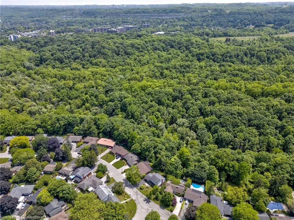 85 Robinhood Drive