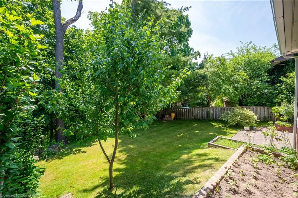 85 Robinhood Drive