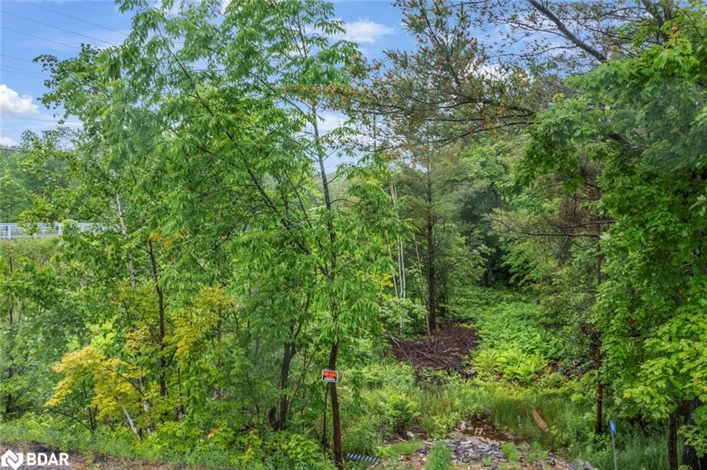 1001 Woodroffe Road