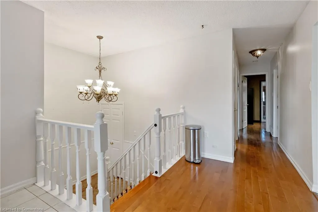 6 Equestrian Court