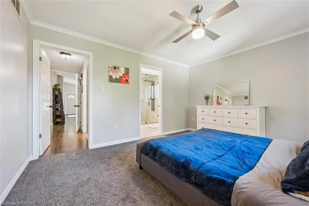 264 Grey Fox Drive