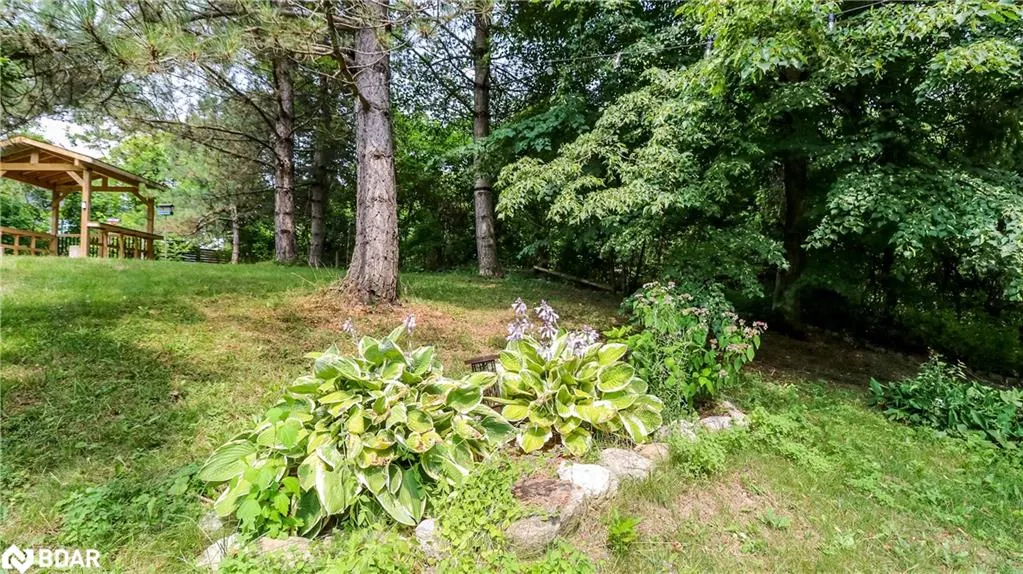 114 Birch View Trail Trail