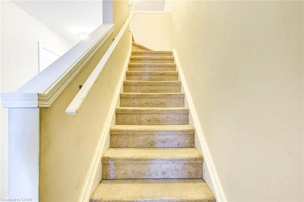 29 Grand Flats Trail