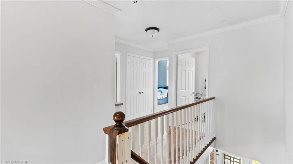 923 Mcneil Drive