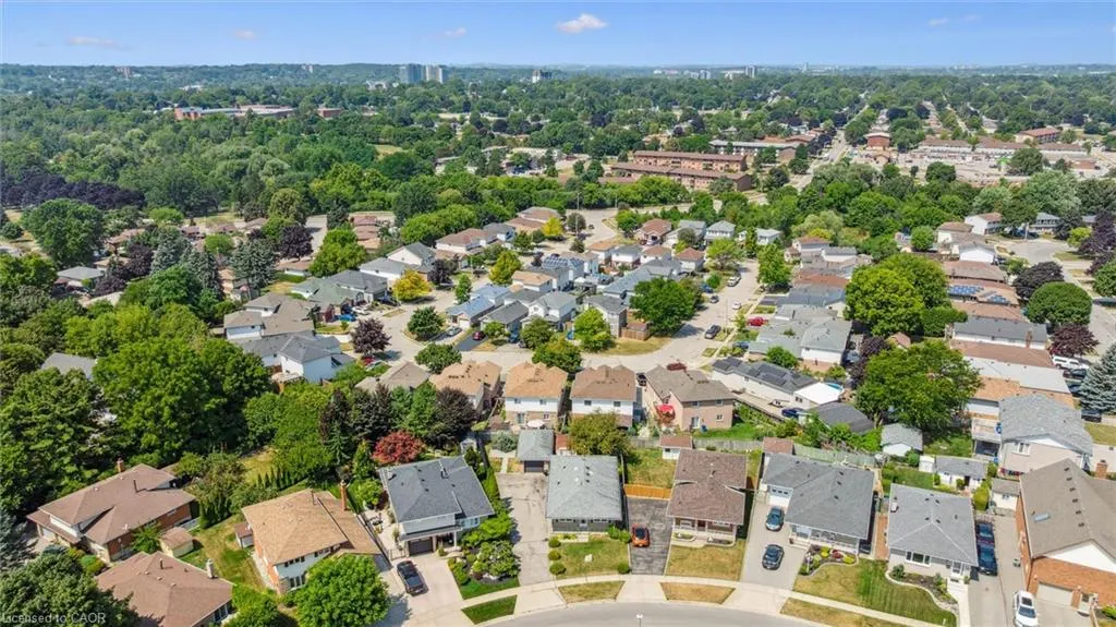 79 Lorraine Drive