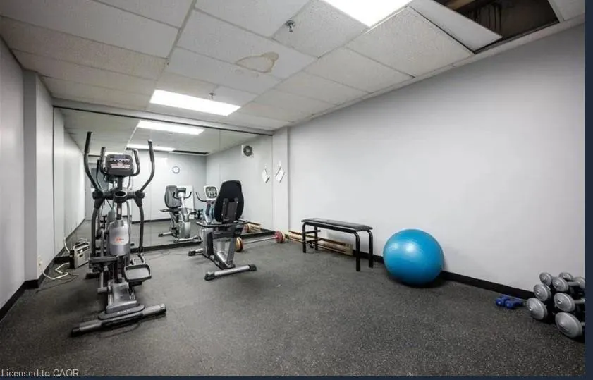 65 Westmount Road N, #311