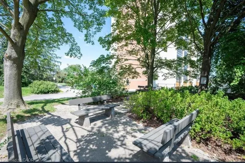 65 Westmount Road N, #311