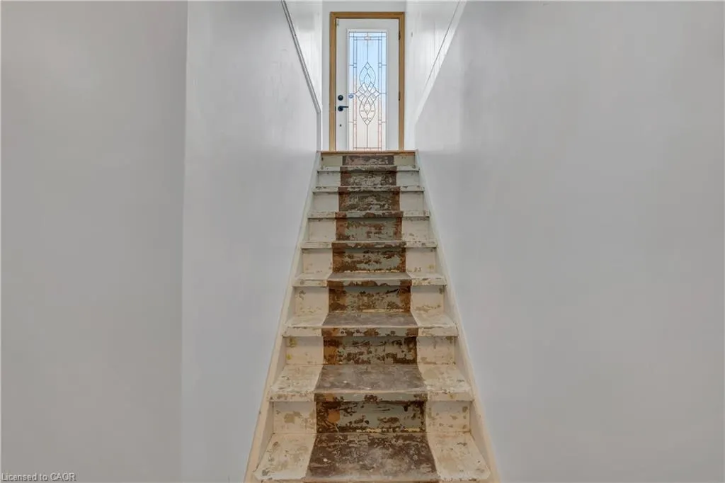 446 East 36th Street