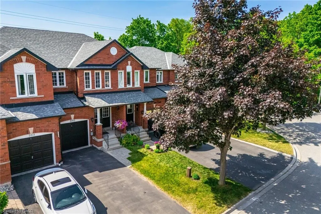 5103 Tree Court