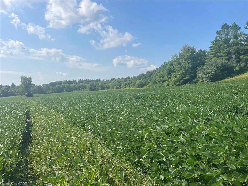 867262 Township Road, #10