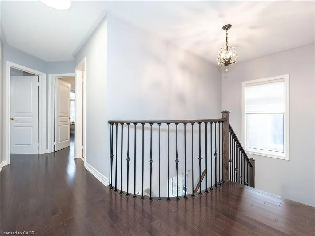 19 Mcknight Avenue