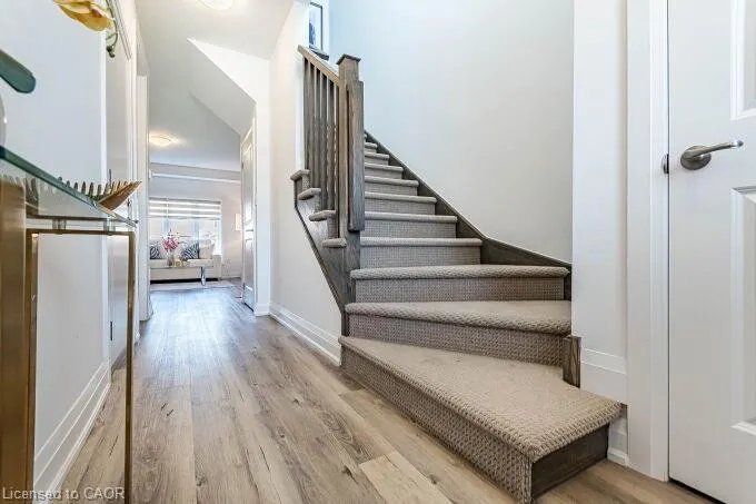 11 Holder Drive