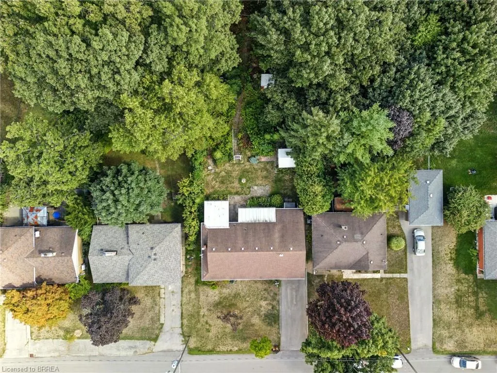 50 Collingdon Drive