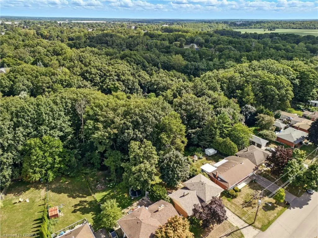 50 Collingdon Drive