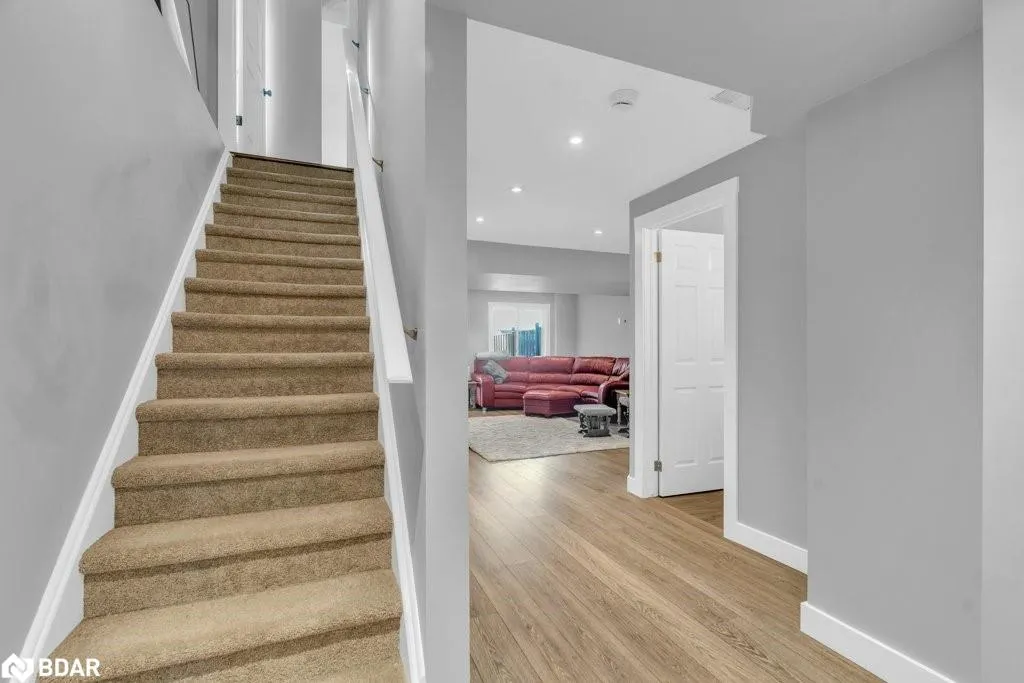 3 Davison Drive Drive