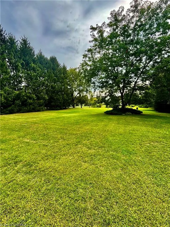 48 Mcgill Road