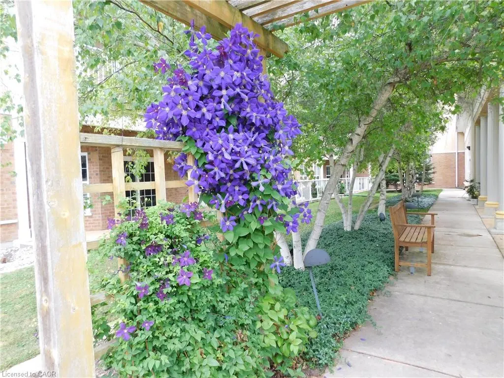 317 Lock Street W, #316