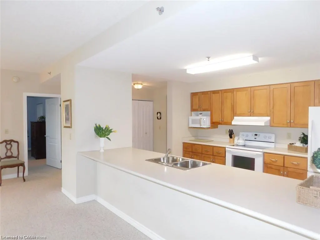 317 Lock Street W, #316