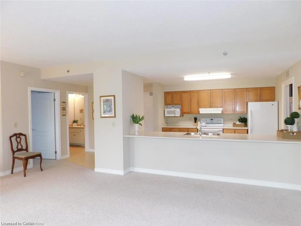 317 Lock Street W, #316