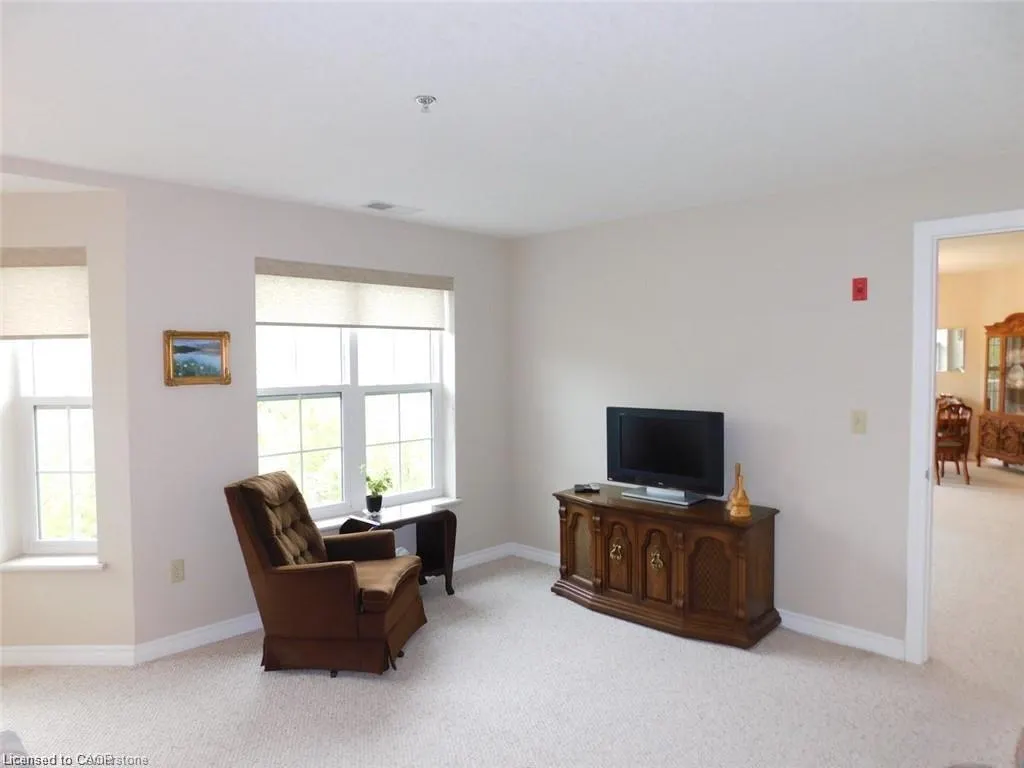 317 Lock Street W, #316