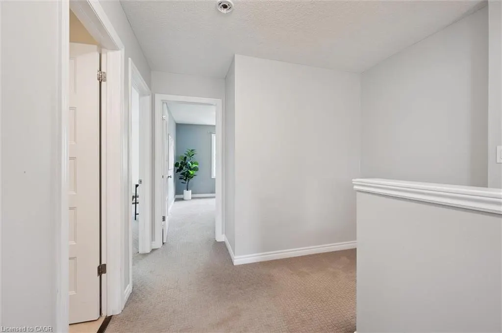 167 Arkell Road Road, #16