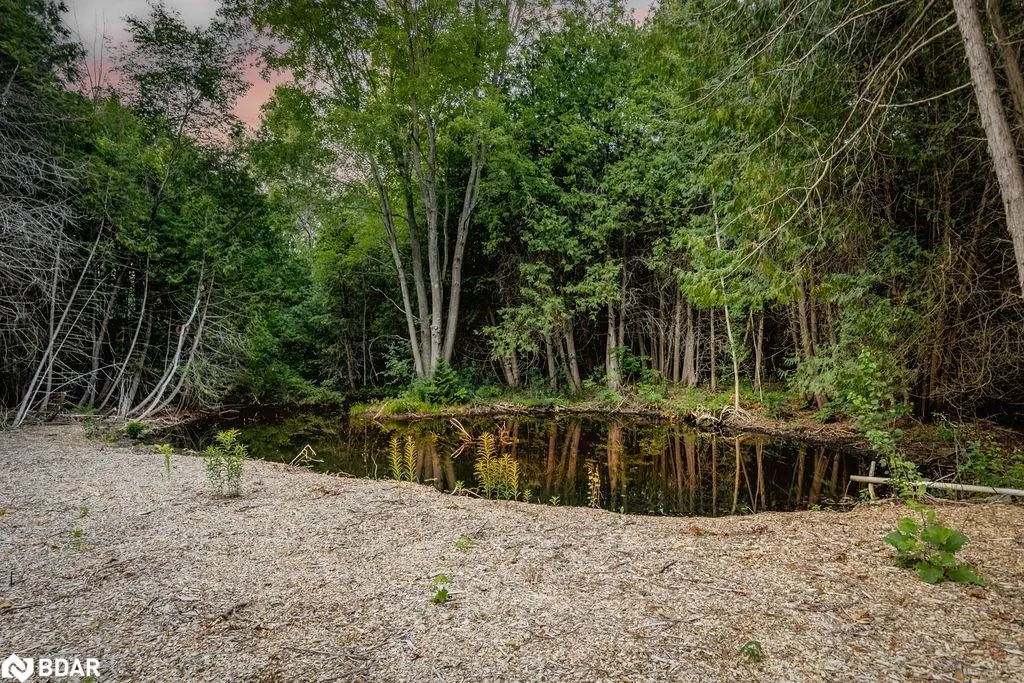 16245 7th Concession Road