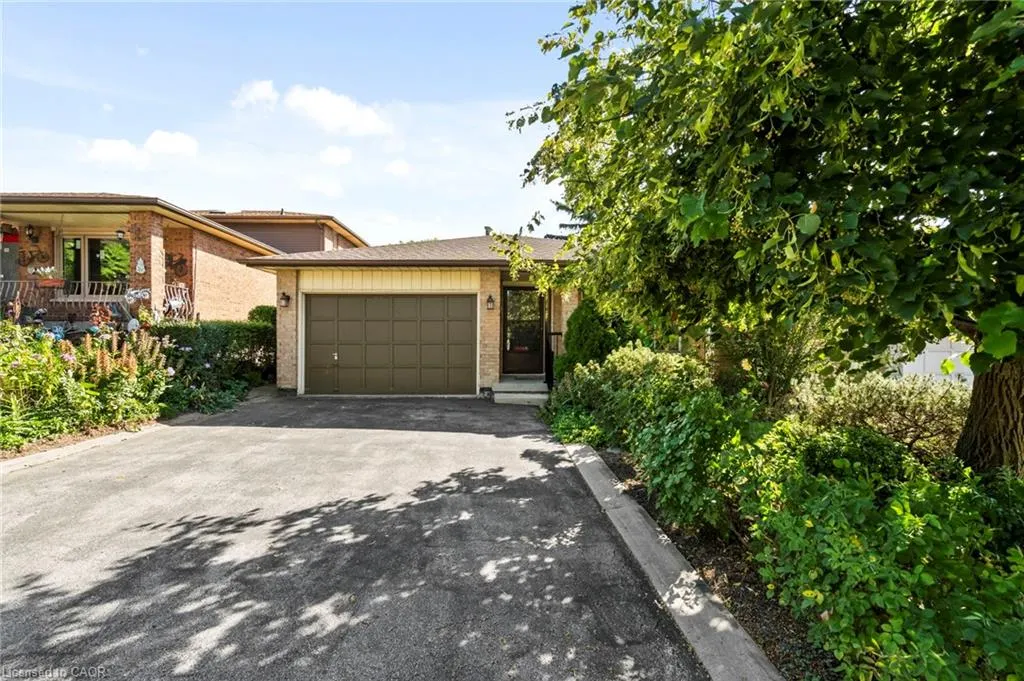 49 Goldwin Street