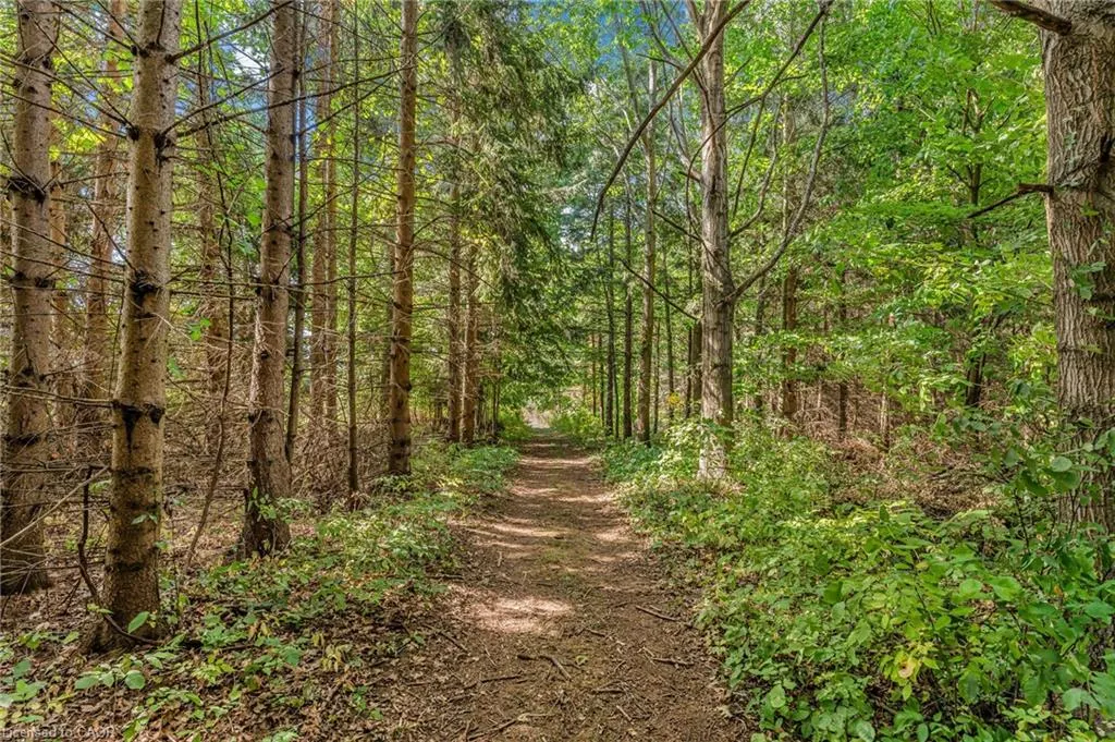 927 Wainfleet/Dunnville Townline Road